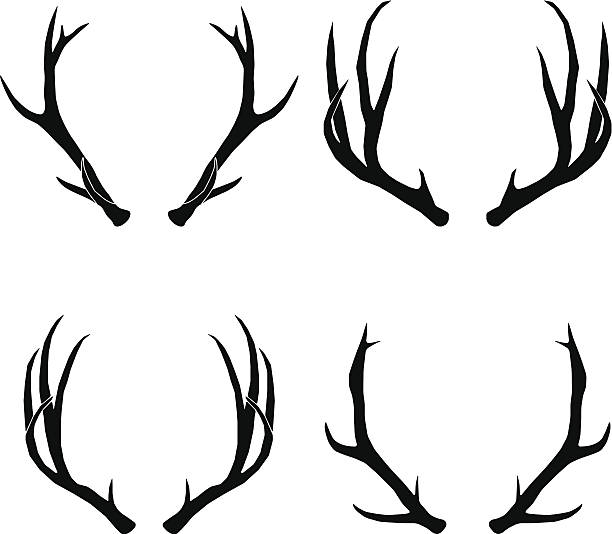 free clip art deer antlers - photo #20