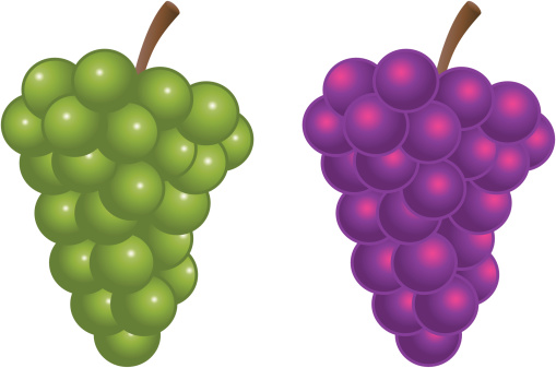 clipart green grapes - photo #38