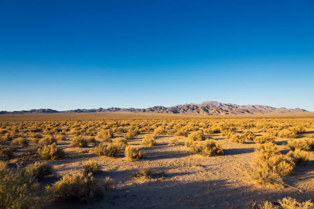 istock Desert in California 1000003024