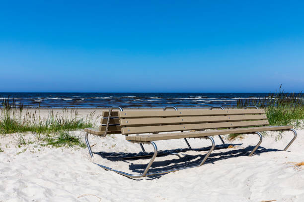 istock Empty bench in dunes by sea on a Sunny day.Baltic sea 1000008384