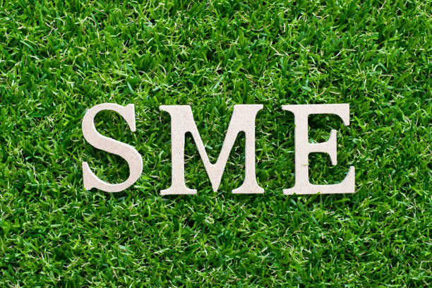 istock Wood alphabet in word SME (abbreviation of Small and medium sized enterprises)on artificial green grass background 1000011880