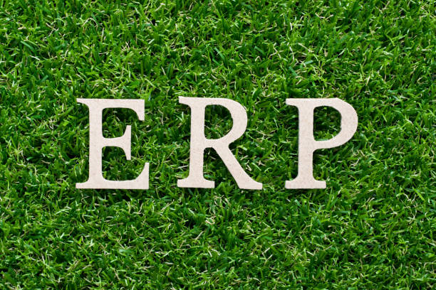 istock Wood alphabet in word ERP (abbreviation of  Enterprise Resource Planning)on artificial green grass background 1000011984