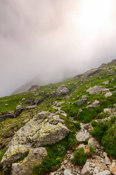 istock hiking in fog on a cloudy summer day 1000032998
