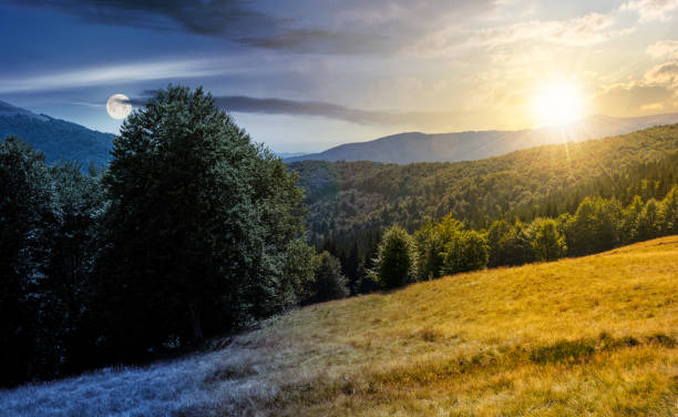 istock meadow on the forested hill day and night concept 1000033338