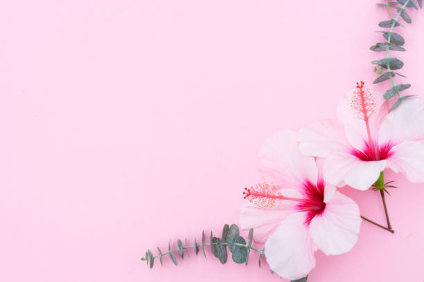 istock Wellness background with hibiscus flower 1000049722