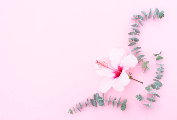 istock Wellness background with hibiscus flower 1000049800