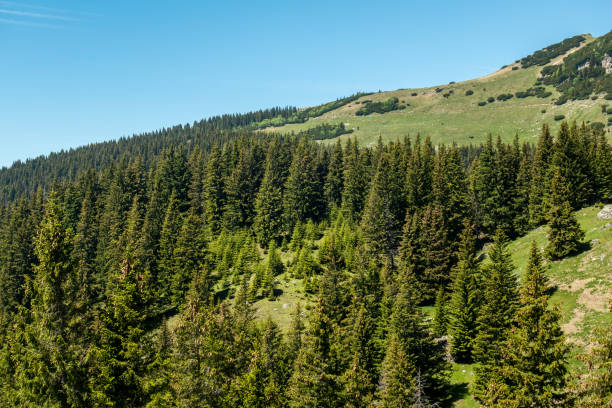 istock View of Bucegi Mountains, Bucegi National Park, Romania 1000068468