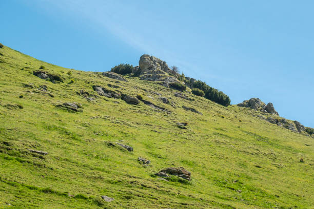 istock View of Bucegi Mountains, Bucegi National Park, Romania 1000068486
