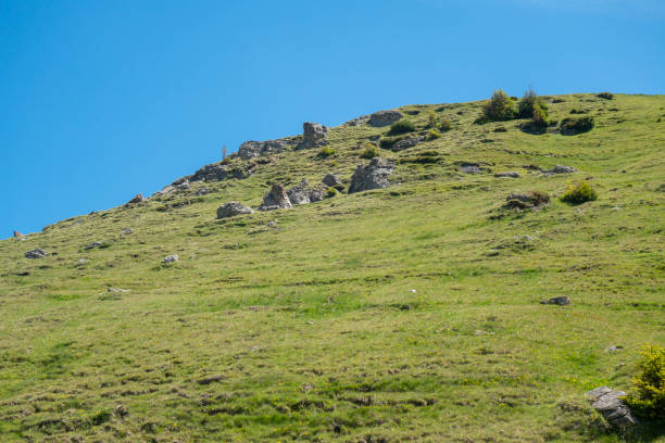 istock View of Bucegi Mountains, Bucegi National Park, Romania 1000068570