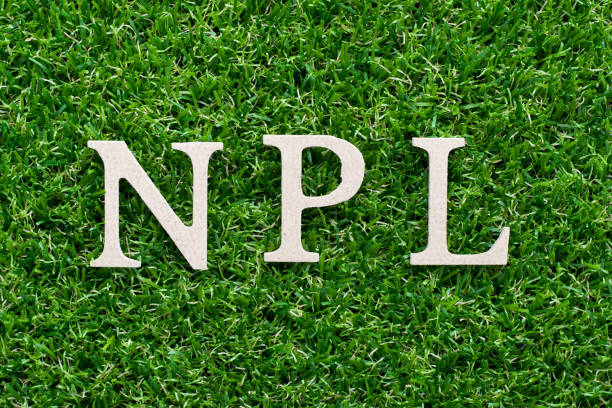 istock Wood alphabet in word NPL (abbreviation of Non Performing Loan, Non-Patent Literature) on artificial green grass background 1000078438