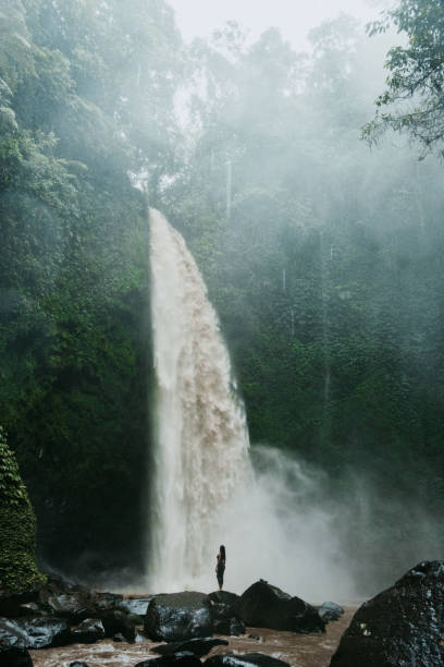 Tropical Vacation Activities