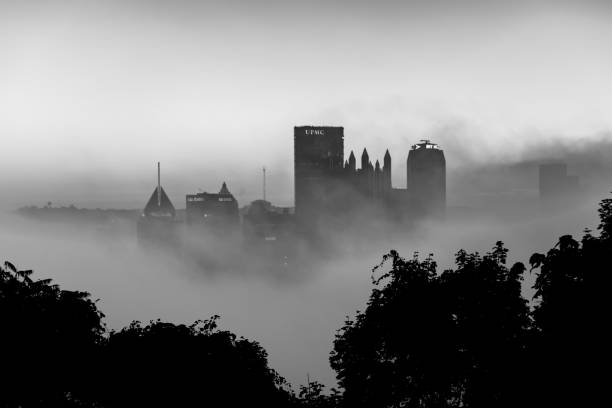 This silhouette picture was taken before sunrise on a very foggy morning from Mount Washington.