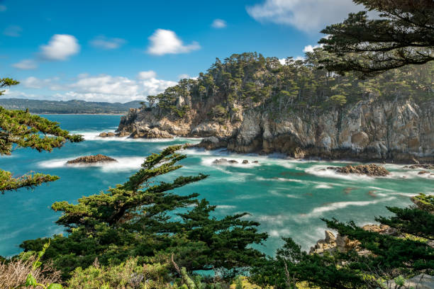 Point Lobos State Park near Carmel-by-the-Sea Long exposure of Bluefish Cove at Point Lobos. point lobos state reserve stock pictures, royalty-free photos & images