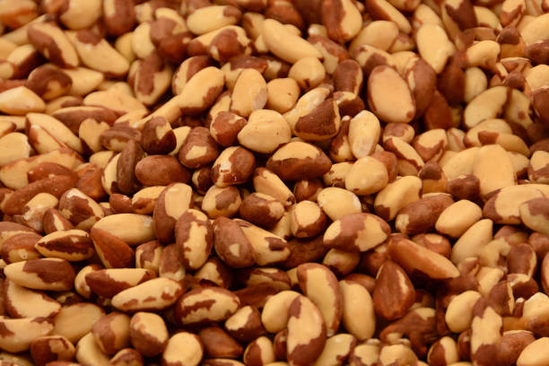 istock Heap of peeled Brazil nuts. 1000119604