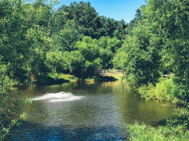 istock Beautiful day in Roswell Park 1000123248