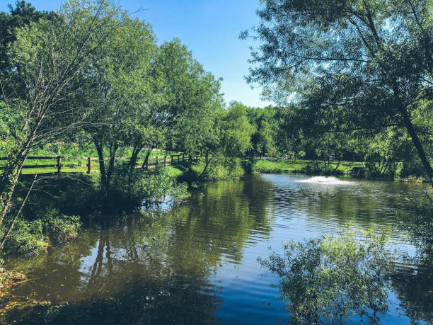 istock Beautiful day in Roswell Park 1000123266