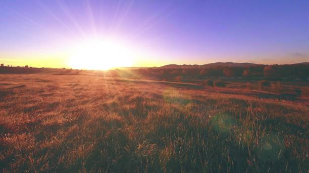 istock 4K UHD mountain meadow timelapse at the summer. Clouds, trees, green grass and sun rays movement 1000133678