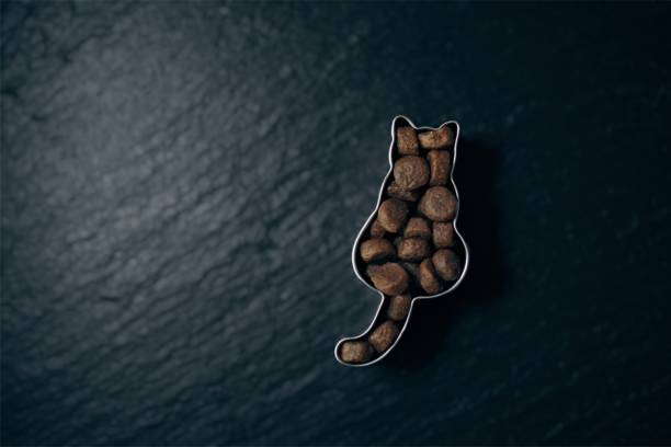 Dry food in a cat shaped cookie cutter on a slate - soft focus technique.