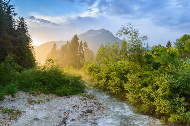 Mountain stream at sunset. Alps near Ehrwald, Tyrol, Austria Mountain stream at sunset. River view in Alps near Ehrwald, Tyrol, Austria ehrwald stock pictures, royalty-free photos & images