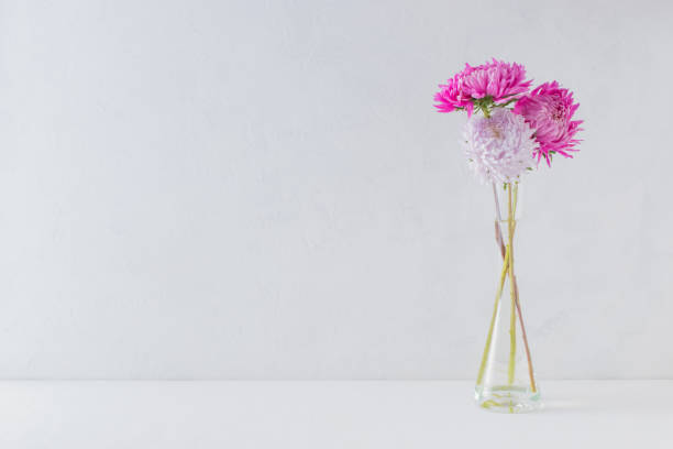 istock Pink flowers in a vase on a light background 1000168474