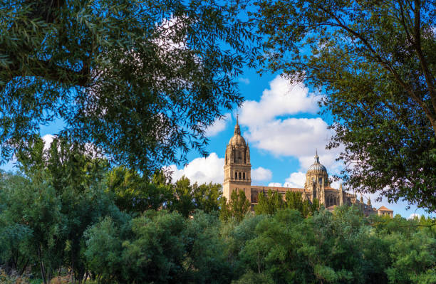 Cathedral of Salamanca Spain