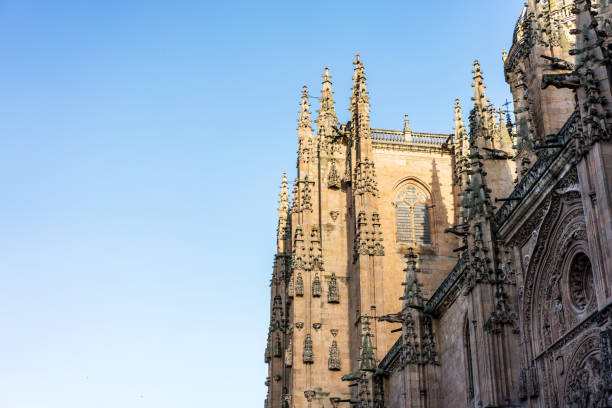 istock Cathedral of Salamanca Spain 1000207322