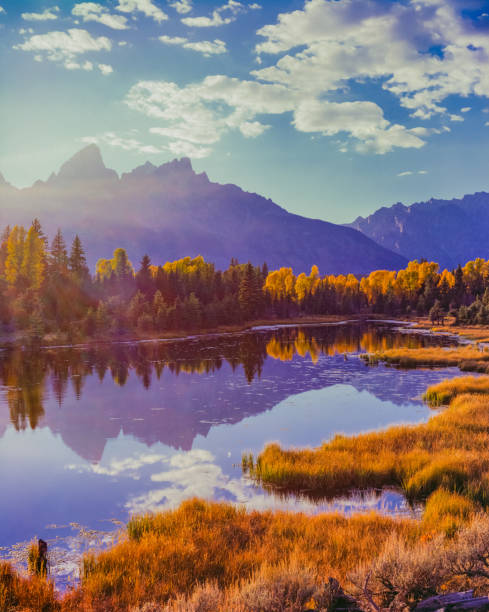 snake river avec peupliers en automne au parc national de grand teton - wyoming teton range jackson hole autumn photos et images de collection