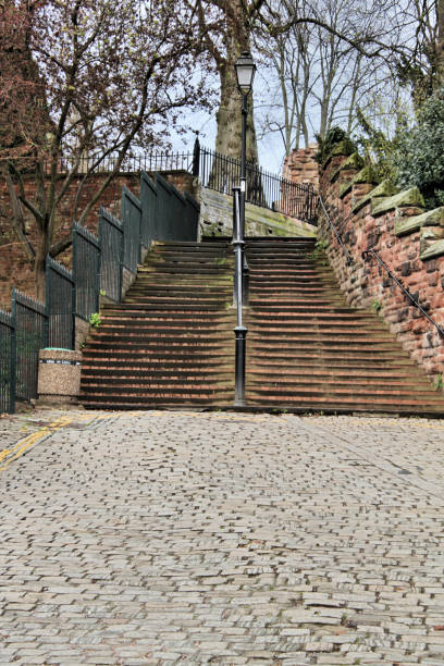 A view of Chester Park