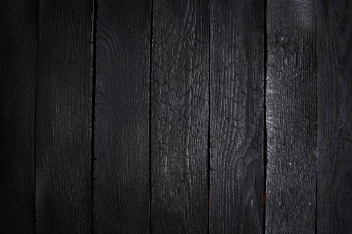 Black wooden wall background, texture of dark bark wood with old natural pattern for design art work