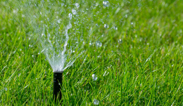 istock automatic sprinkler system watering the lawn on a background of green grass 1000251276