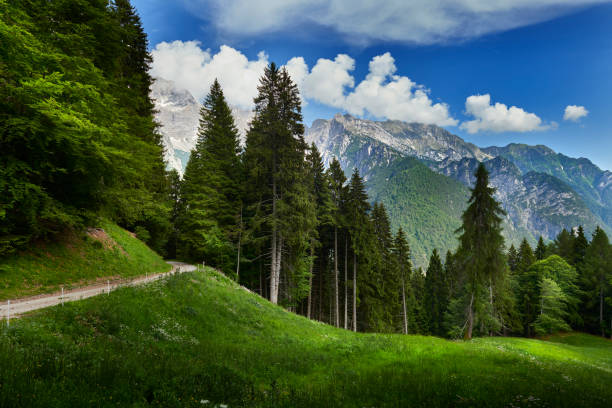 Small rural road in Trentino Italy high up in the Dolomites.