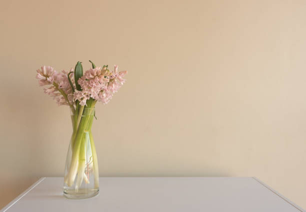 Close up of soft pink hyacinths in glass vase on white table against beige wall (selective focus)