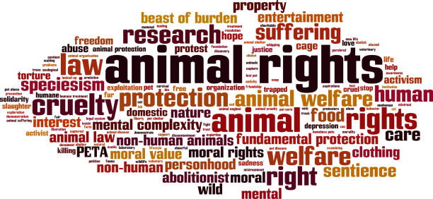 istock Animal rights word cloud concept 1000354354