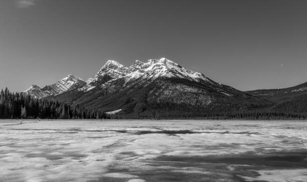 istock Black and White Image of Canadian Rockies 1000357842