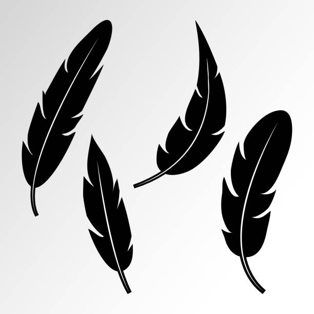 Wing Feather Vector File 330+ Artificial Wing Wing Vector Feather Stock Illustrations, Royalty ...