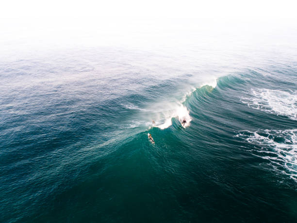 Mornington Peninsula Surfer Surfer enjoying a wave on the Mornington Peninsula, Victoria. victoria australia photos stock pictures, royalty-free photos & images