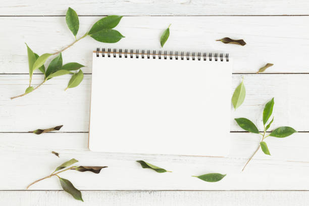 Flat lay photo of blank white notebook and green leaf on white table
