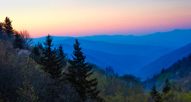 istock Misty Rolling Mountain Range Just Before Sunrise at Great Smoky Mountains National Park 1000401592