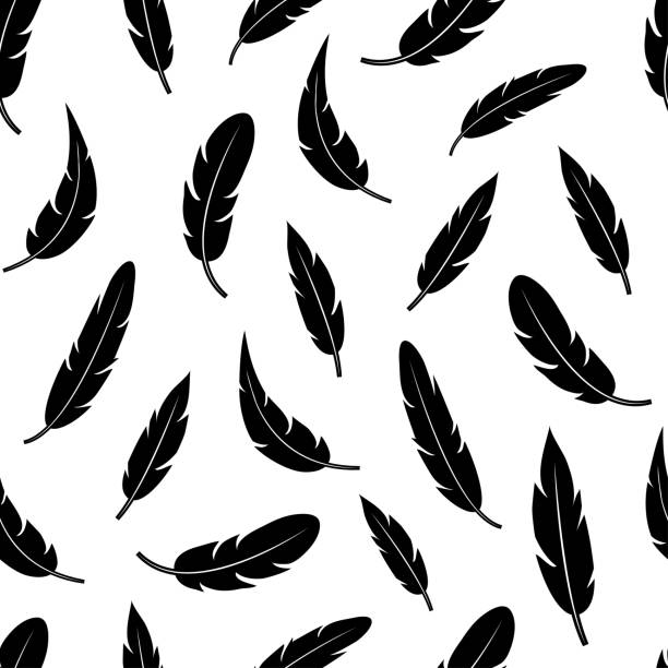 Set of black feather. Vector illustration Set of black feather. Vector illustration feather stock illustrations