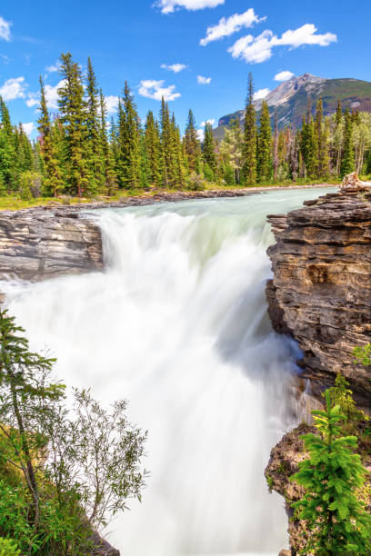 istock Athabasca Falls in Jasper National Park, Alberta, Canada 1000409654