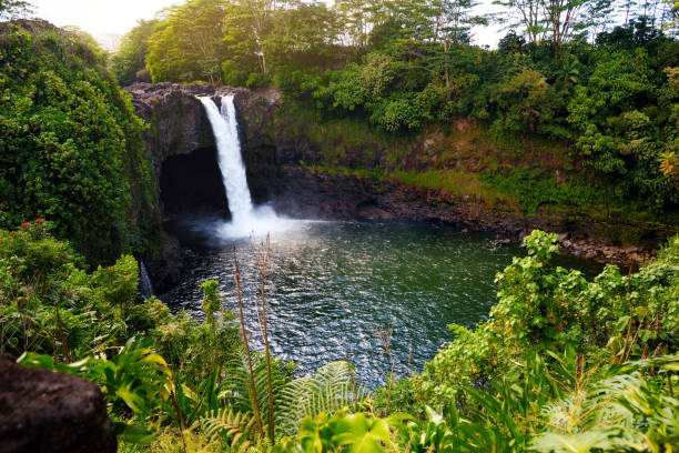 cascata majesitc rainbow falls a hilo, wailuku river state park, hawaii - hawaii islands big island waterfall nobody foto e immagini stock