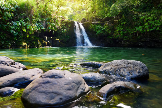 istock Tropical waterfall Lower Waikamoi Falls and a small crystal clear pond, inside of a dense tropical rainforest, off the Road to Hana Highway, Maui, Hawaii 1000419556