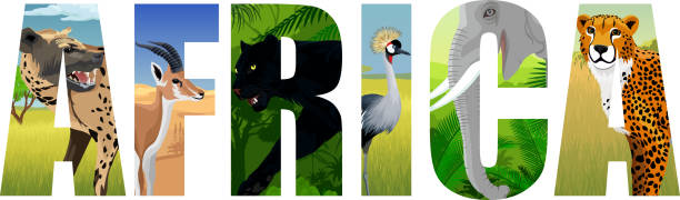 istock vector Africa illustration with elephant, spotted hyena, crowned crane, gazelle, cheetah and black panther 1000452470