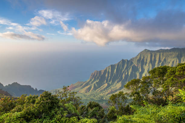 istock Kalalau Valley, Kauai 1000513002
