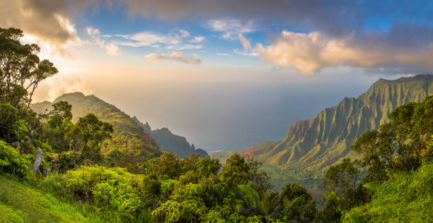 Kalalau Lookot view Island, Pacific Ocean, Sea, Tree, Tropical Climate volcanic landscape photos stock pictures, royalty-free photos & images
