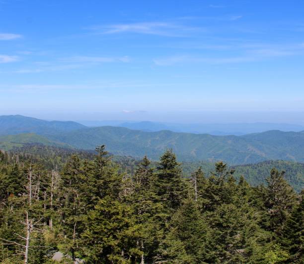 istock View of Smoky Mountains 1000513714