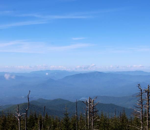 istock Foggy Smokies 1000513734