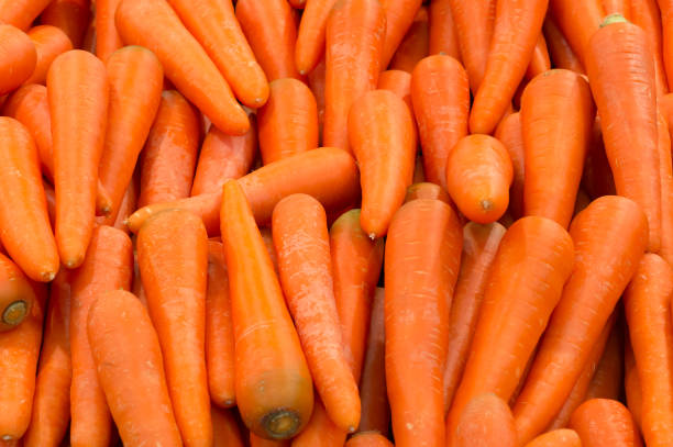 fond belle carotte mûrs - healthy eating orange ingredient raw photos et images de collection