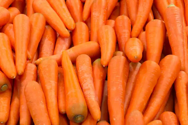Beautiful ripe carrot background, carrots are good for health, healthy ripe carrot for preparing meal
