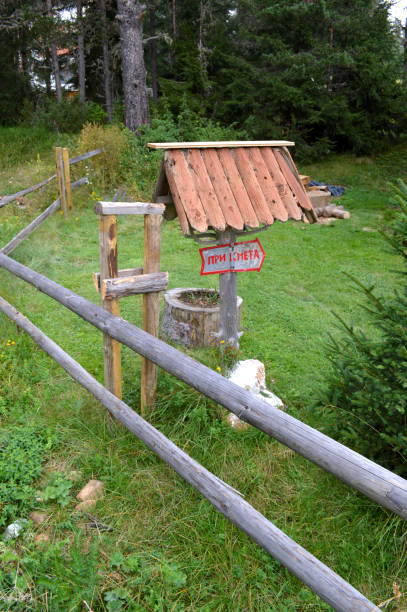 istock In the Forest, Western Rhodope Mountains, Bulgaria 1000565528